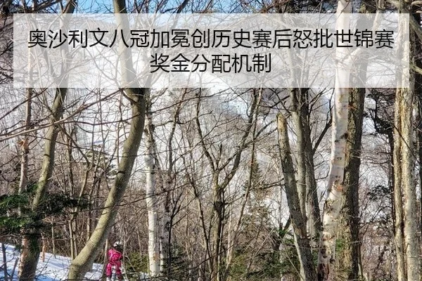ao-sha-li-wen-ba-guan-jia-mian-chuang-li-shi-sai-hou-nu-pi-shi-jin-sai-jiang-jin-fen-pei-ji-zhi-2-841.jpg
