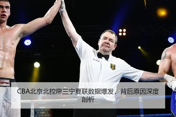 CBA北京北控廖三宁夏联数据爆发，背后原因深度剖析