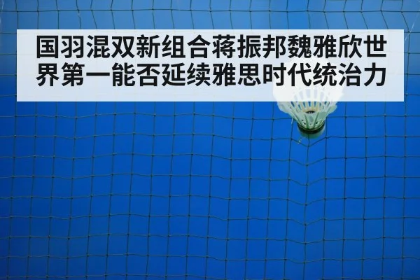 badminton net play